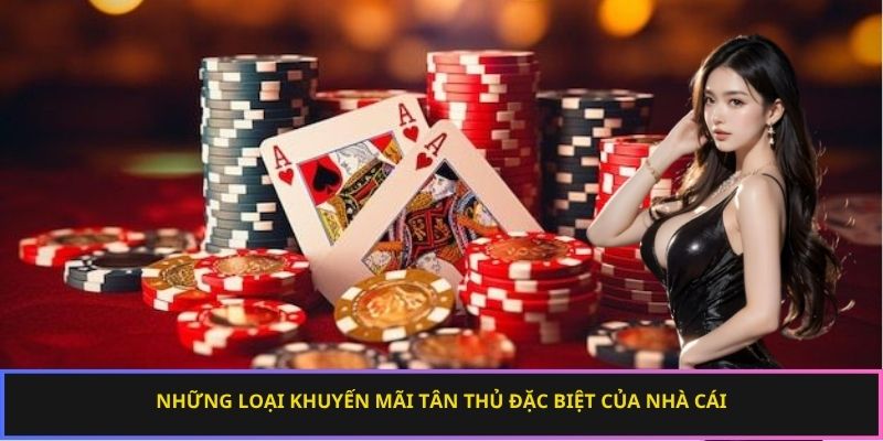 Những loại khuyến mãi tân thủ đặc biệt của nhà cái